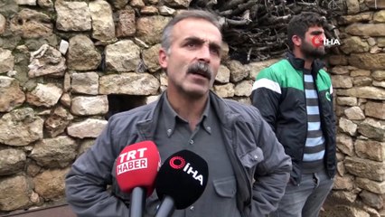 Gercüş’te onlarca hayvan telef oldu