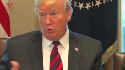 Trump Takes Credit For Falling Gas Prices in Pushback Against Russia Claims
