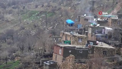 Gercüş'te Onlarca Hayvan Telef Oldu