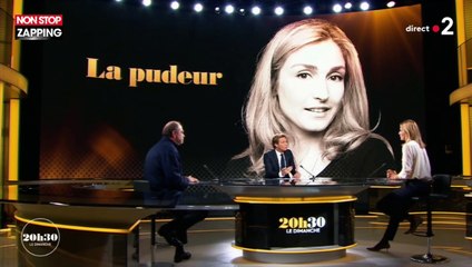 Julie Gayet évoque sa relation avec François Hollande dans "20h30 le dimanche" (vidéo)