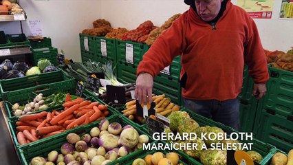 Les légumes anciens poussent bien en Alsace