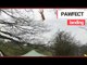 Cat falls from tree on to 'makeshift trampoline' | SWNS TV