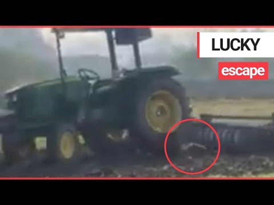 Moment stunt goes wrong when young farmer tries to leap on a moving tractor - but is dragged beneath