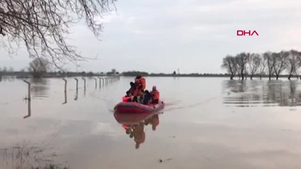 İzmir Torbalı'da 3 Gündür Mahsur Kalan 4 Köpek Kurtarıldı