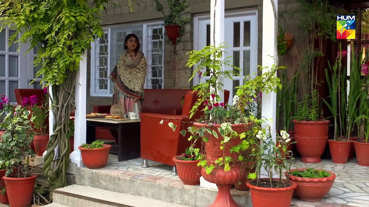 Aatish Epi 22 HUM TV Drama 14 January 2019