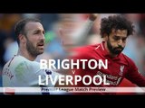 Brighton v Liverpool - Premier League Match Preview