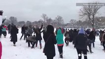 Snowball fight breaks out at the National Mall