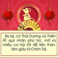 FB Tử vi tài lộc của tuổi Tý khi bước sang năm Kỷ Hợi 2019