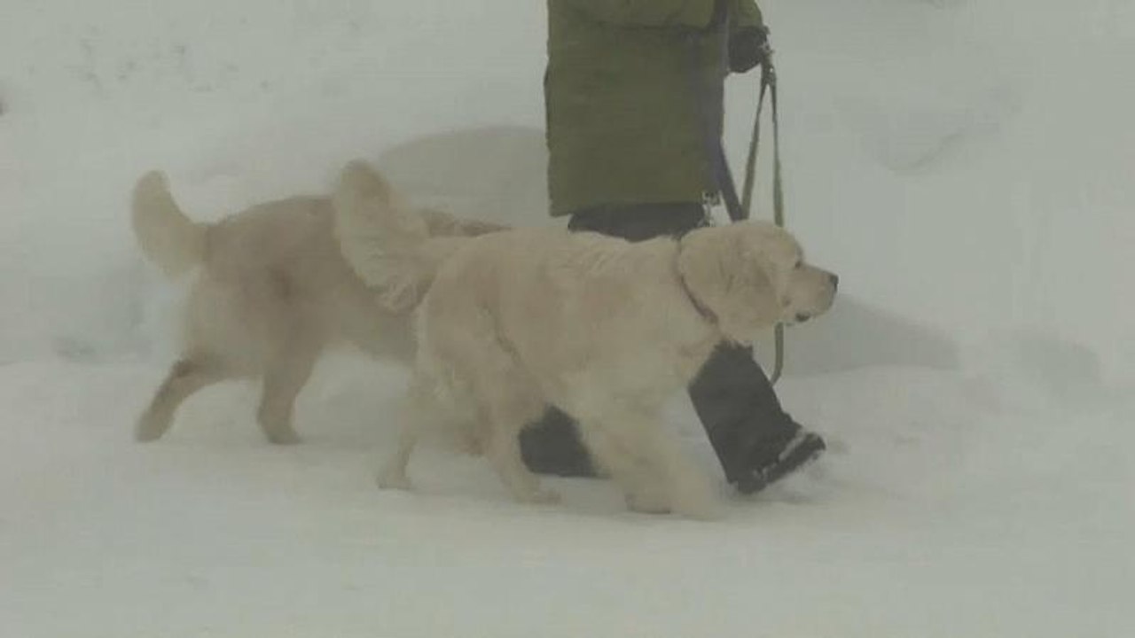 Schneemassen und Lawinengefahr in den Alpen