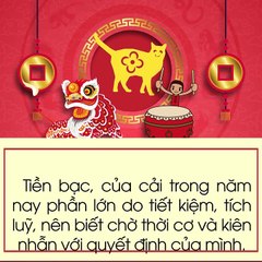 FB Tử vi tài lộc của tuổi Mão khi bước sang năm Kỷ Hợi 2019