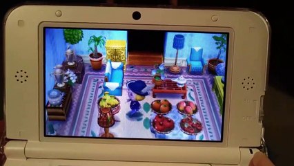 Cette grand-mère est une championne à Animal Crossing sur Nintendo !