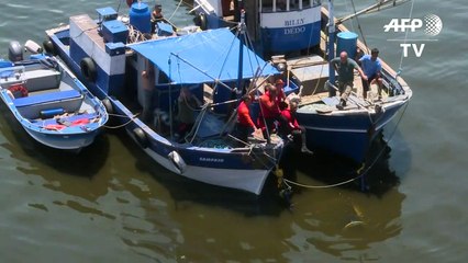 PM morre em queda de helicóptero no Rio