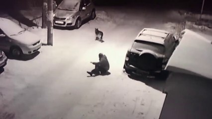 Il veut cogner un chien mais va le regretter... Bad Karma