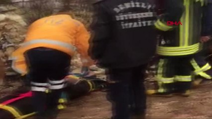 Denizli Üzerine Tomruk Düşen Orman İşçisi Yaralandı