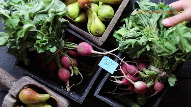 Non-profit Helps Wounded Vets Get Their Lives Back - Catch A Lift (CAL)