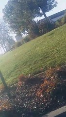 Crashed the Car They Got for Christmas