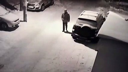 Un chien vengé par le karma (instant karma)