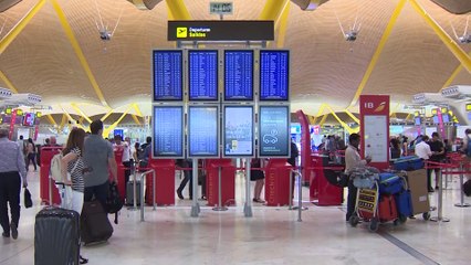 Los usuarios de avión aumentaron un 7,3% en noviembre y los de AVE un 9%