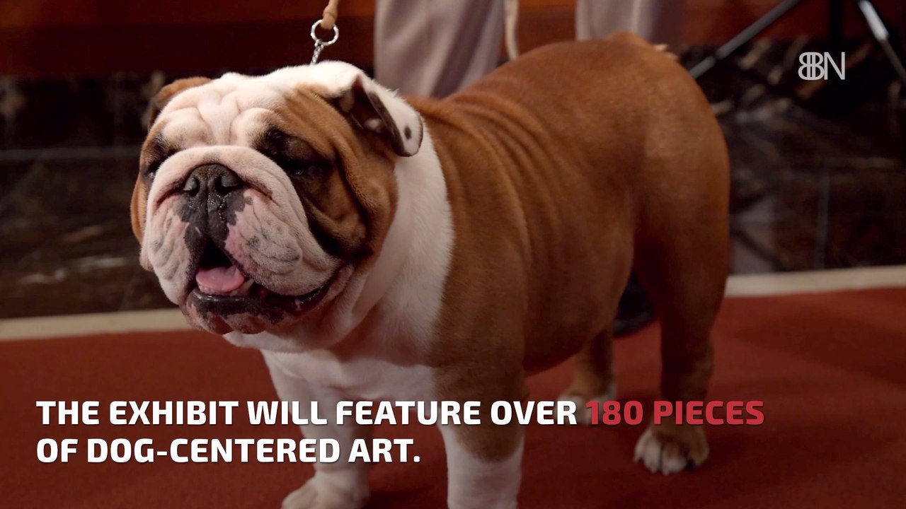 Special Dog Museum Is Coming To NYC
