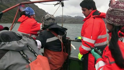 Patagonia chilena, laboratorio para estudio del cambio climático