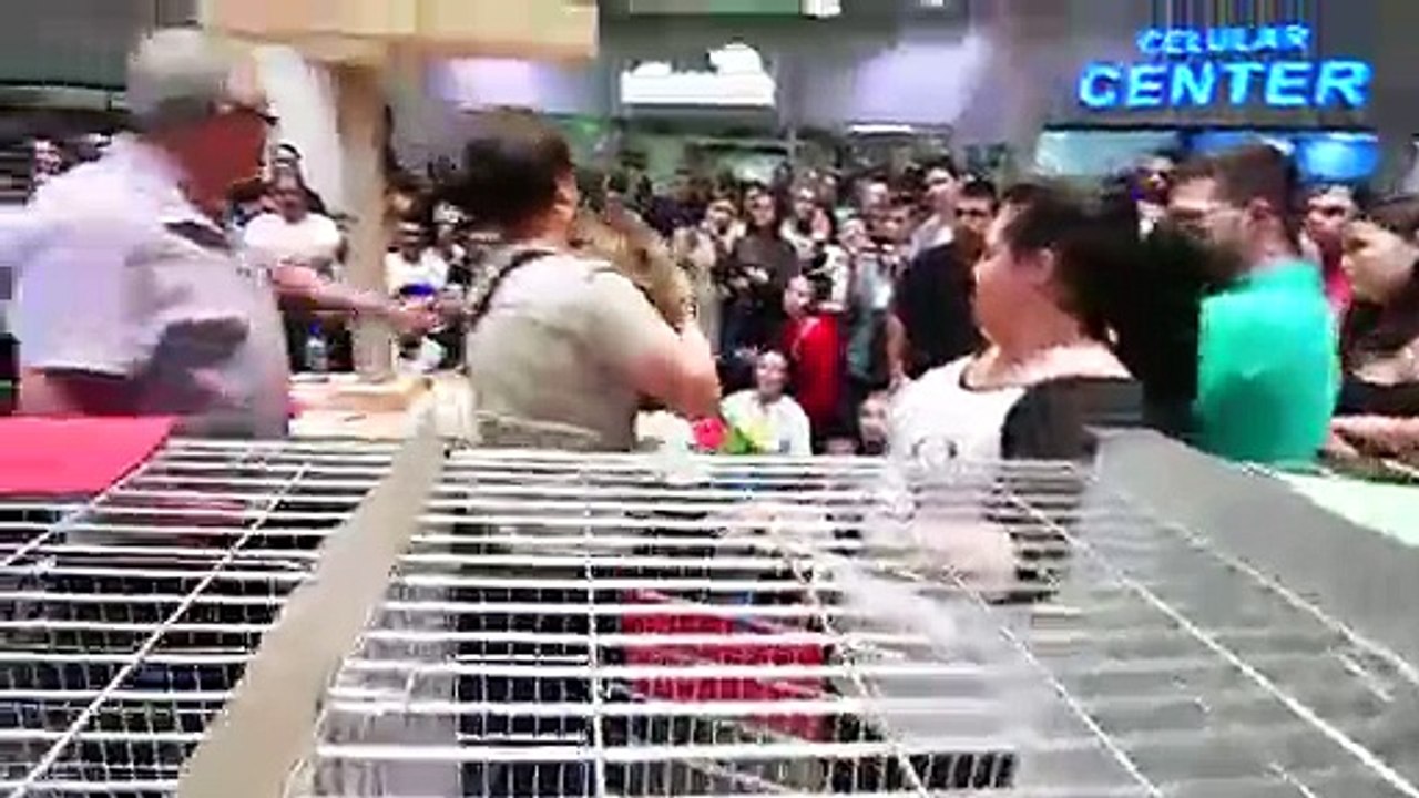 Le Costa Rica organise une exposition internationale de chats