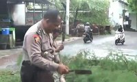Seorang Warga Bali Tewas Tersengat Listrik Saat Hujan Deras