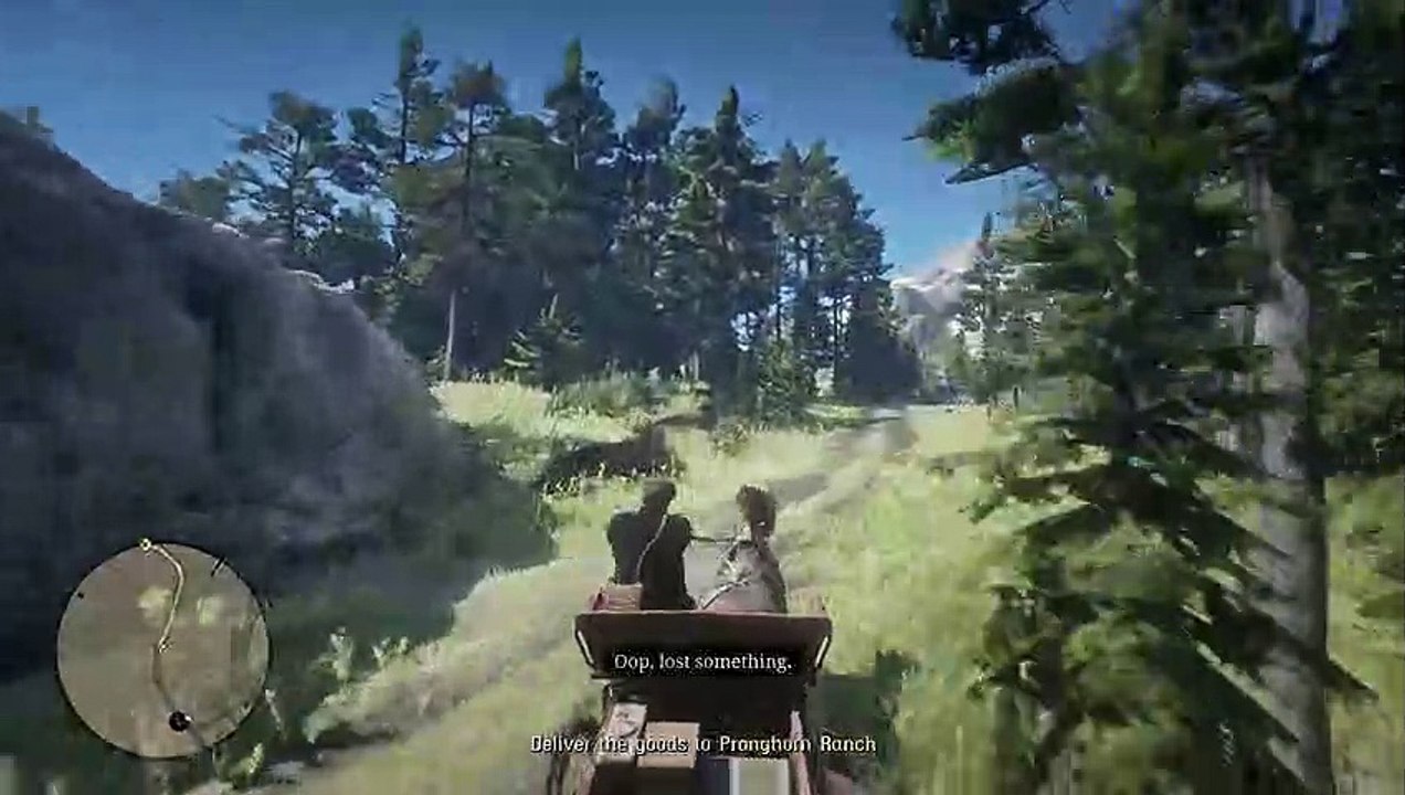 RED DEAD REDEMPTION 2 PART 135