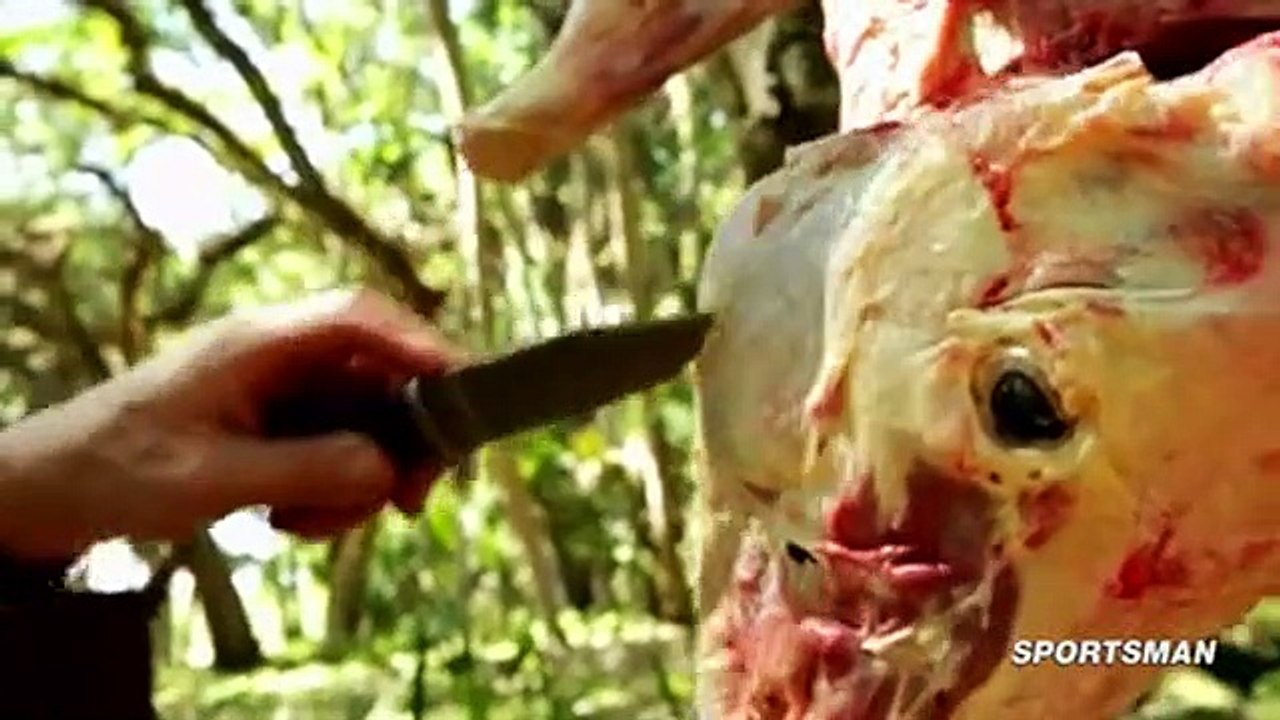 Meateater S04 E02 video Dailymotion