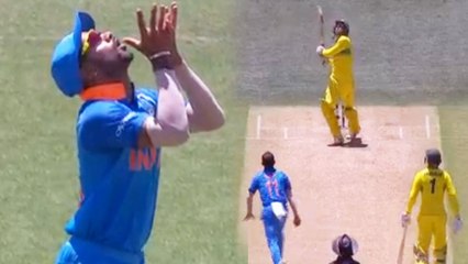 India Vs Australia 2nd ODI:Md Shami strikes, Alex Carey OUT for 18| वनइंडिया हिंदी