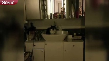 Demet Evgar’ın mesajlı kedi videosu