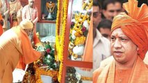 Makar Sankranti : Yogi Adityanath Offered Khichdi In Gorakhnath Temple, WATCH VIDEO | Oneindia News