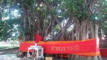 Kumbh: Akshay Vat Importance | संगम नगरी में इस वृक्ष के दर्शन के बिना अधूरा है कुंभ स्नान | Boldsky
