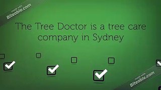 Tree Removal Service Sydney | The Tree Doctor