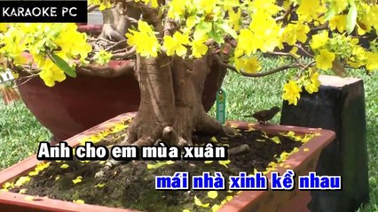 Karaoke Anh Cho Em Mùa Xuân - Quang Linh