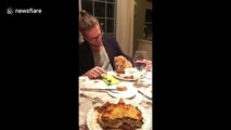 Cat crashes dinner party, licks food then gleefully runs away