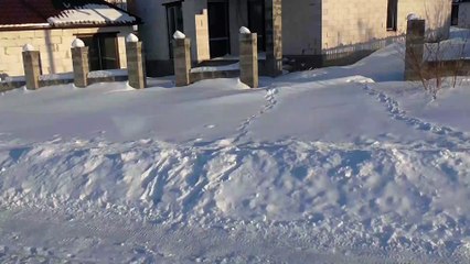 Leaf Blower Powered Turbo Snow Sled