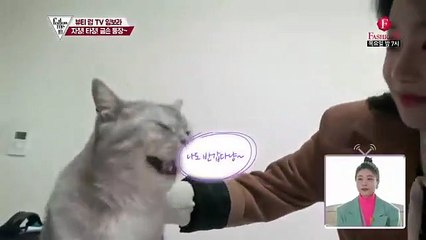 해남출장마사지 - { 카톡TT6889} ⊀Ö7Ô-5180-1616⊁ 해남출장안마'20대' 해남출장안마 출장안마코스 해남출장안마 해남출장마사지-황제 해남출장마사지- 해남콜걸.