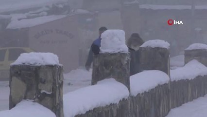 Dondurucu Soğuklardan Olumsuz Etkilenen Sokak Hayvanlarını Her Gün Elleriyle Besliyor
