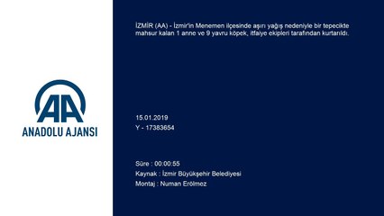 Suda mahsur kalan yavru köpekleri itfaiye ekipleri kurtardı - İZMİR