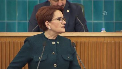 Akşener: "Türk Devleti Teröristlerle Mücadele Ediyor"