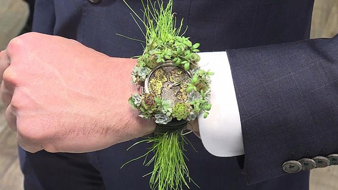 Der Mann von Welt trägt Grün