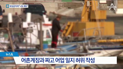 어촌 계장과 짜고 ‘가짜 해녀’ 등록…130여 명 적발
