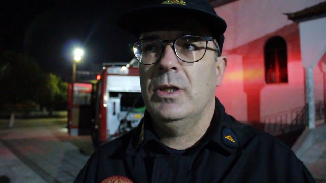 Επίθεση σκύλου σε σκύλο στη Λιβαδειά