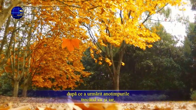 Cuvântul lui Dumnezeu „Dumnezeu Însuși, Unicul III Autoritatea lui Dumnezeu II” Partea a cincea