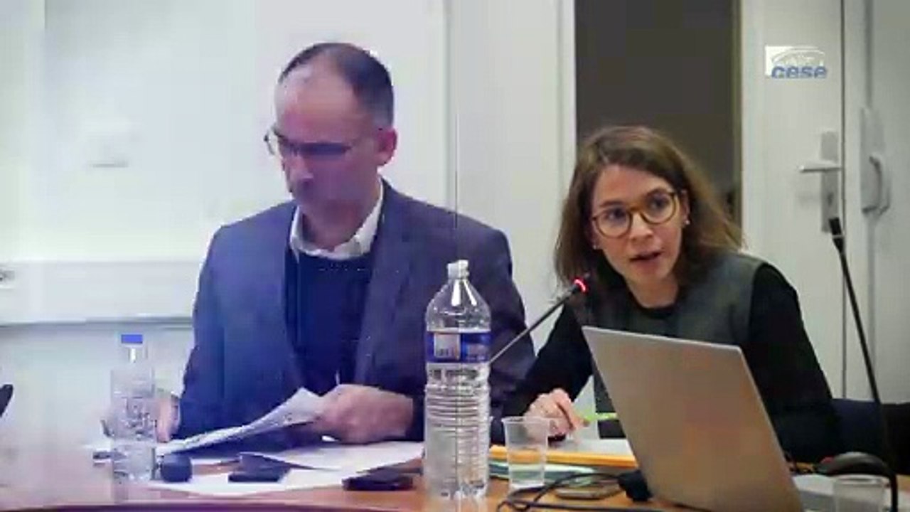 Questions à Camille DUPUY (IRES) - jeunes et avenir du travail - cese