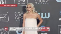 Lady Gaga Leaves Award Show To Be With Her Beloved Dying Horse