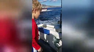 Cute sea lion hitches a lift on boat