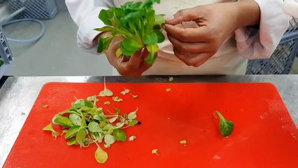 Wittenheim : Terra Alter Est, une légumerie bio, locale et solidaire