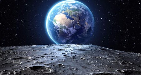 Çin'in Ay'a Gönderdiği Pamuk Tohumları Filizlendi