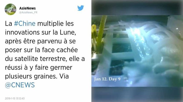 La Chine fait germer une graine de coton sur la face cachée de la Lune